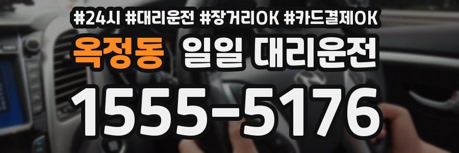 옥정동 일일 대리운전