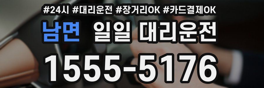 남면 일일 대리운전