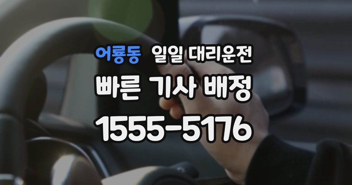 어룡동 일일 대리운전
