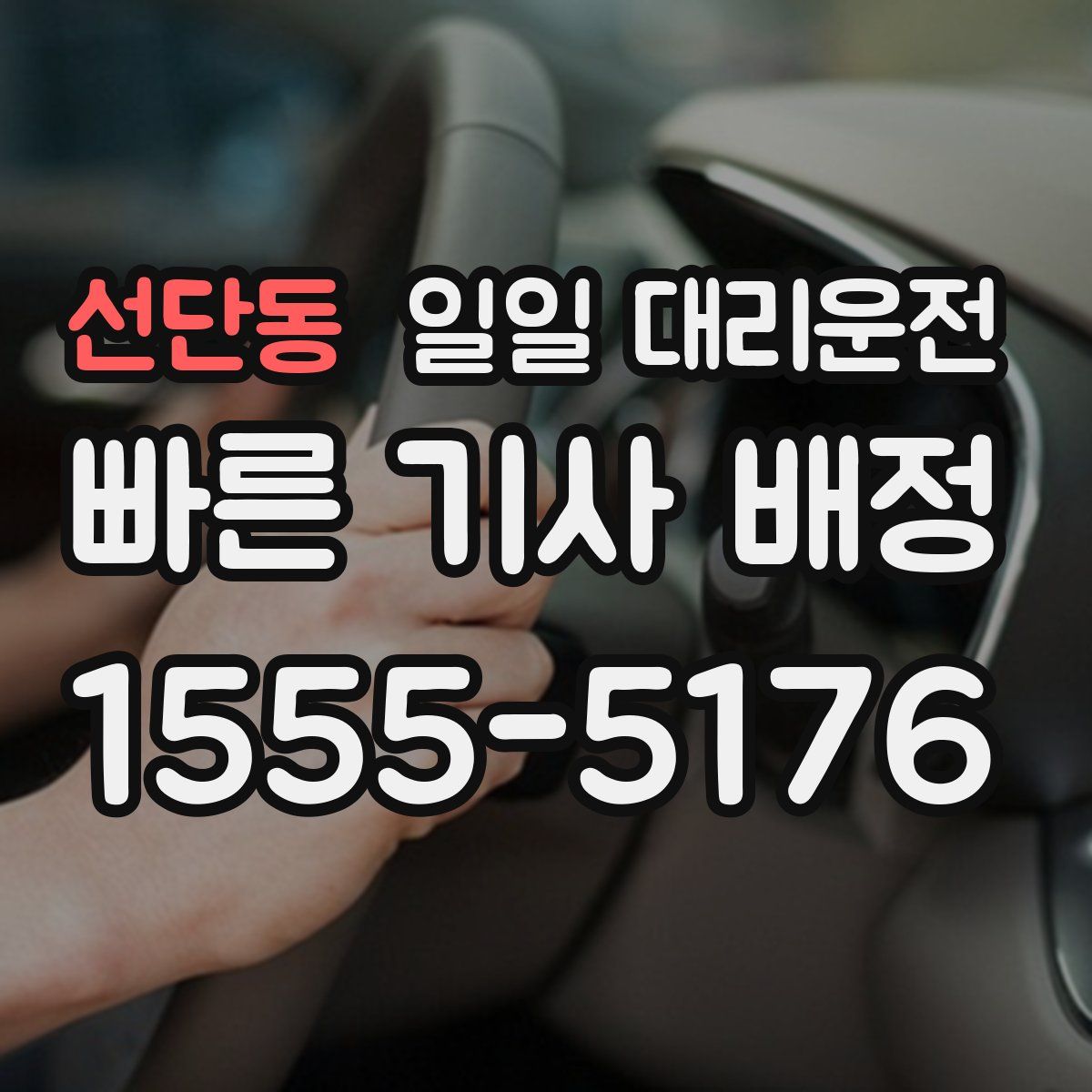 선단동 일일 대리운전