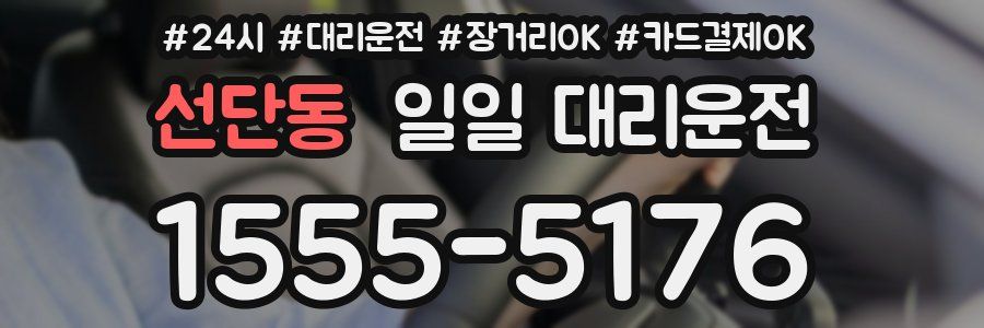 선단동 일일 대리운전