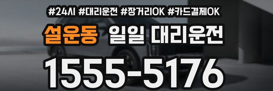 설운동 일일 대리운전