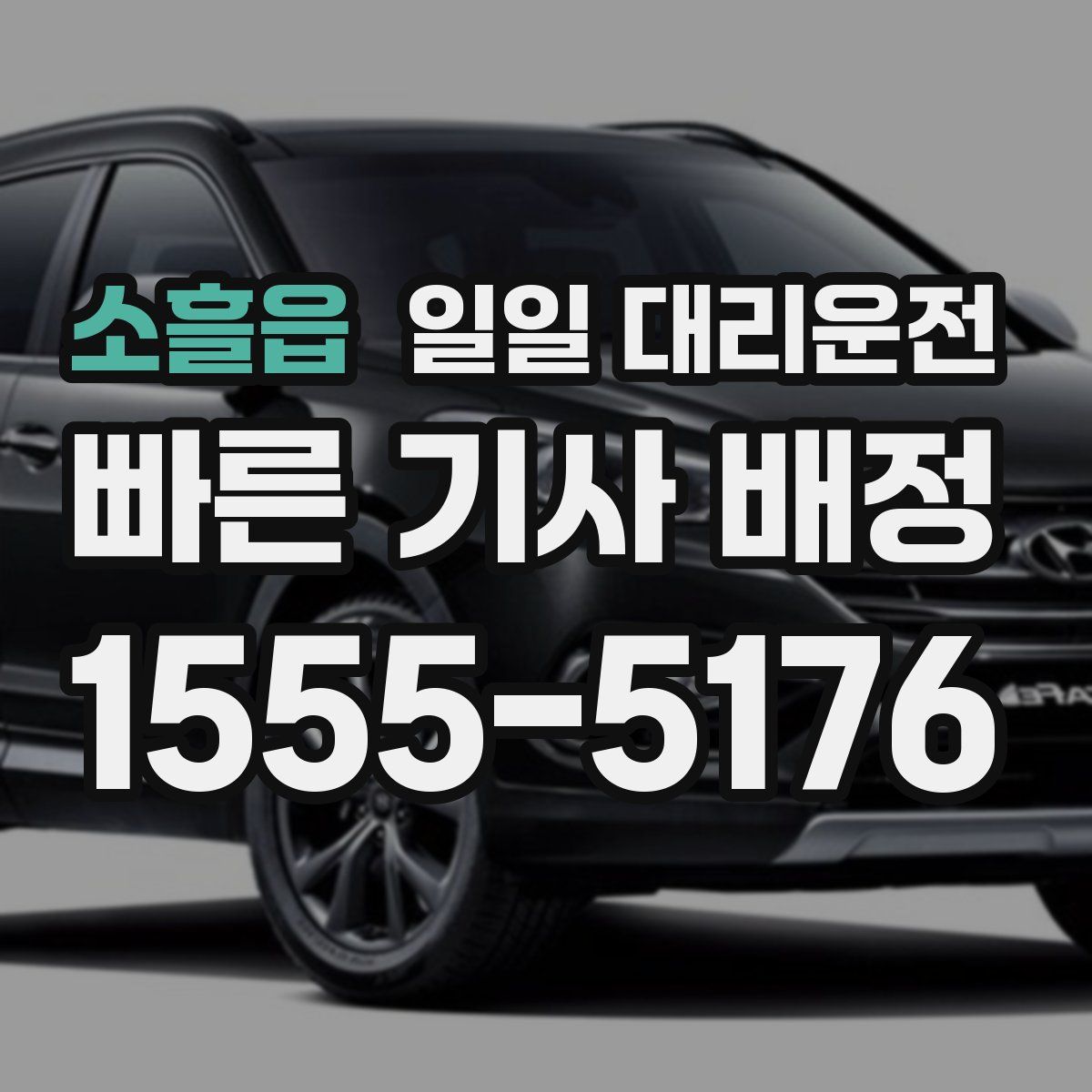 소흘읍 일일 대리운전