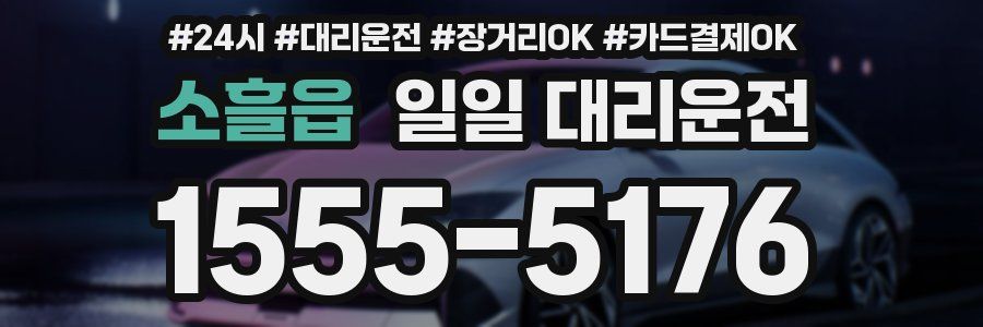 소흘읍 일일 대리운전
