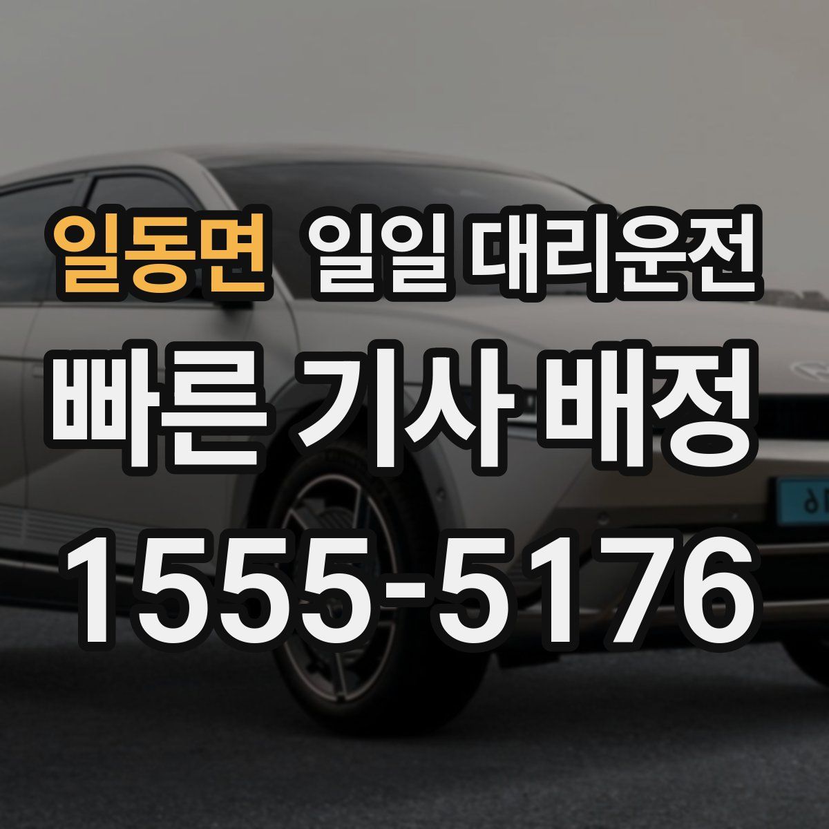 일동면 일일 대리운전