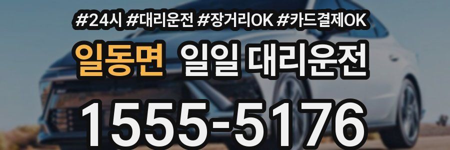 일동면 일일 대리운전