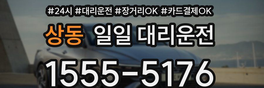 상동 일일 대리운전