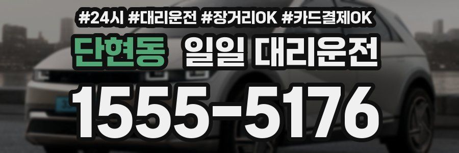단현동 일일 대리운전