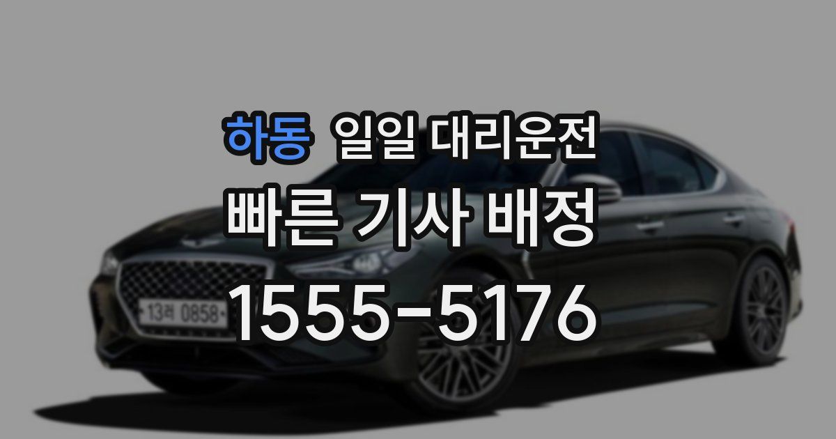 하동 일일 대리운전