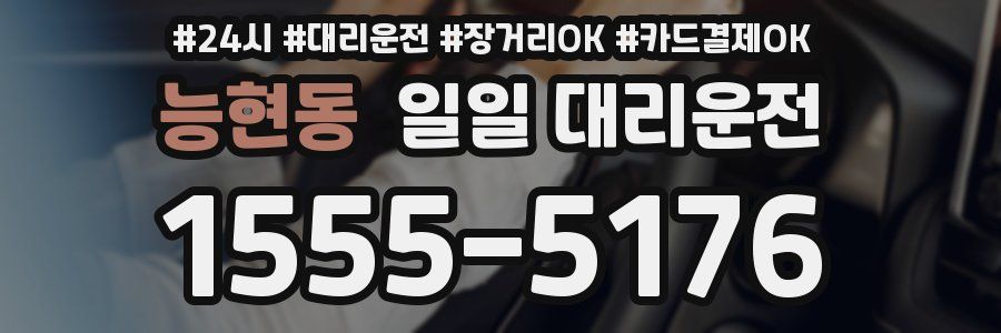능현동 일일 대리운전