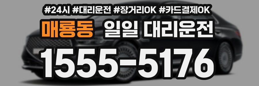 매룡동 일일 대리운전