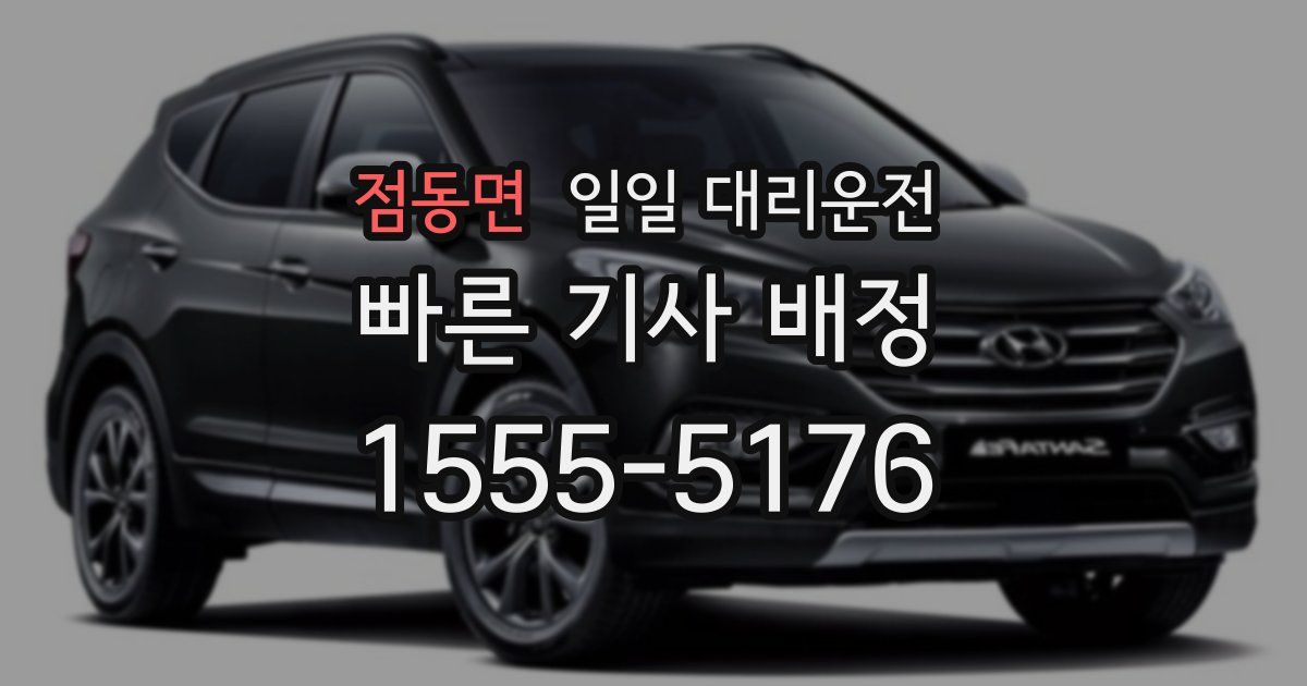 점동면 일일 대리운전