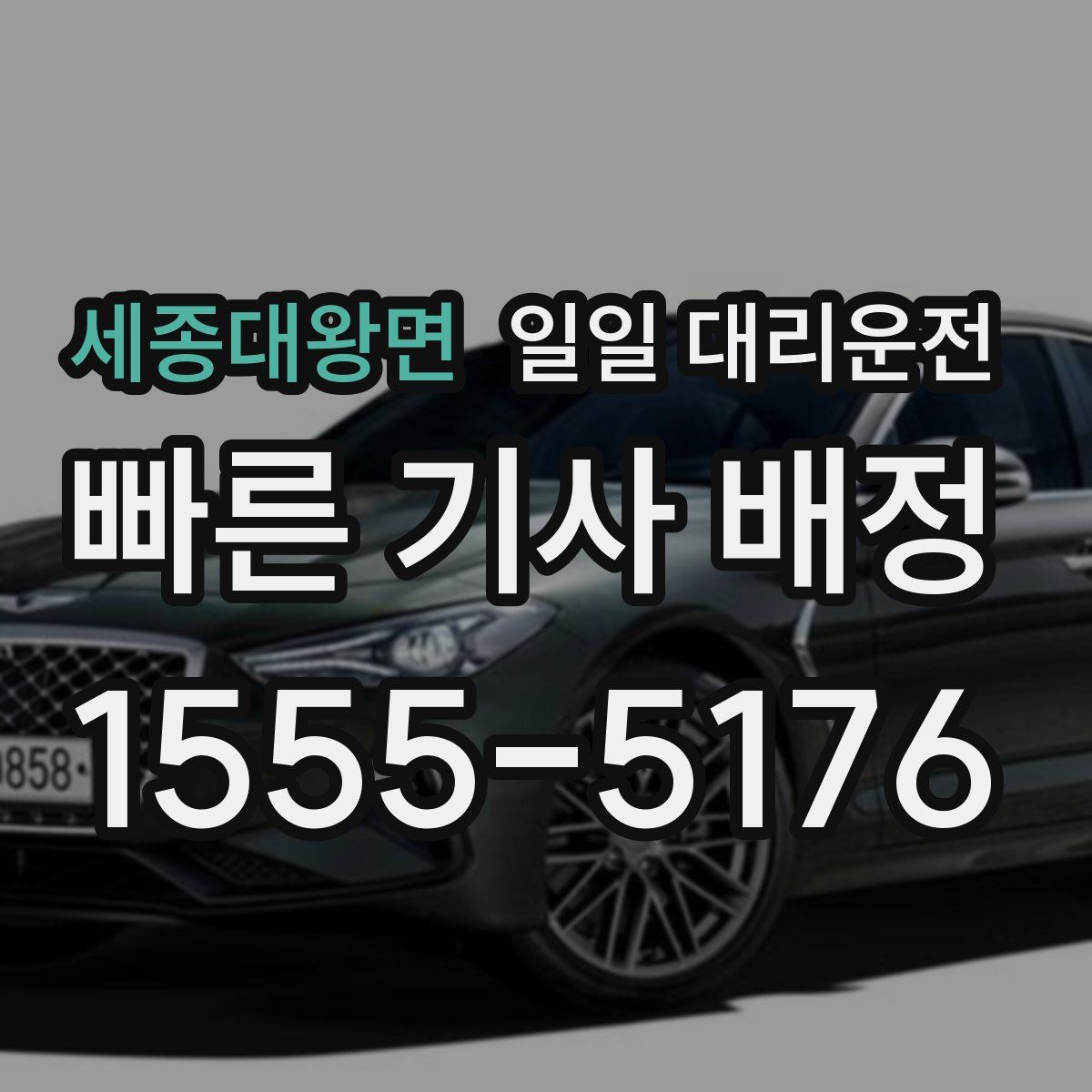 세종대왕면 일일 대리운전