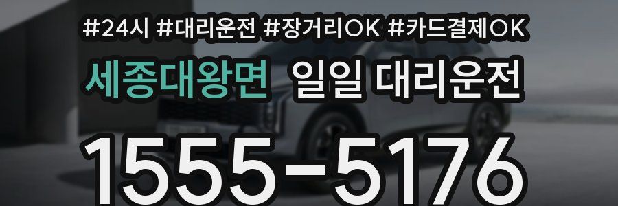 세종대왕면 일일 대리운전