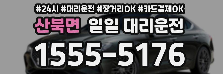 산북면 일일 대리운전