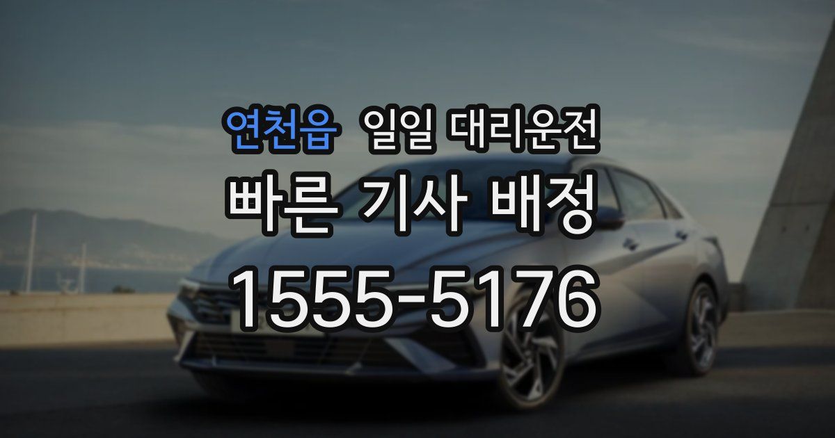 연천읍 일일 대리운전