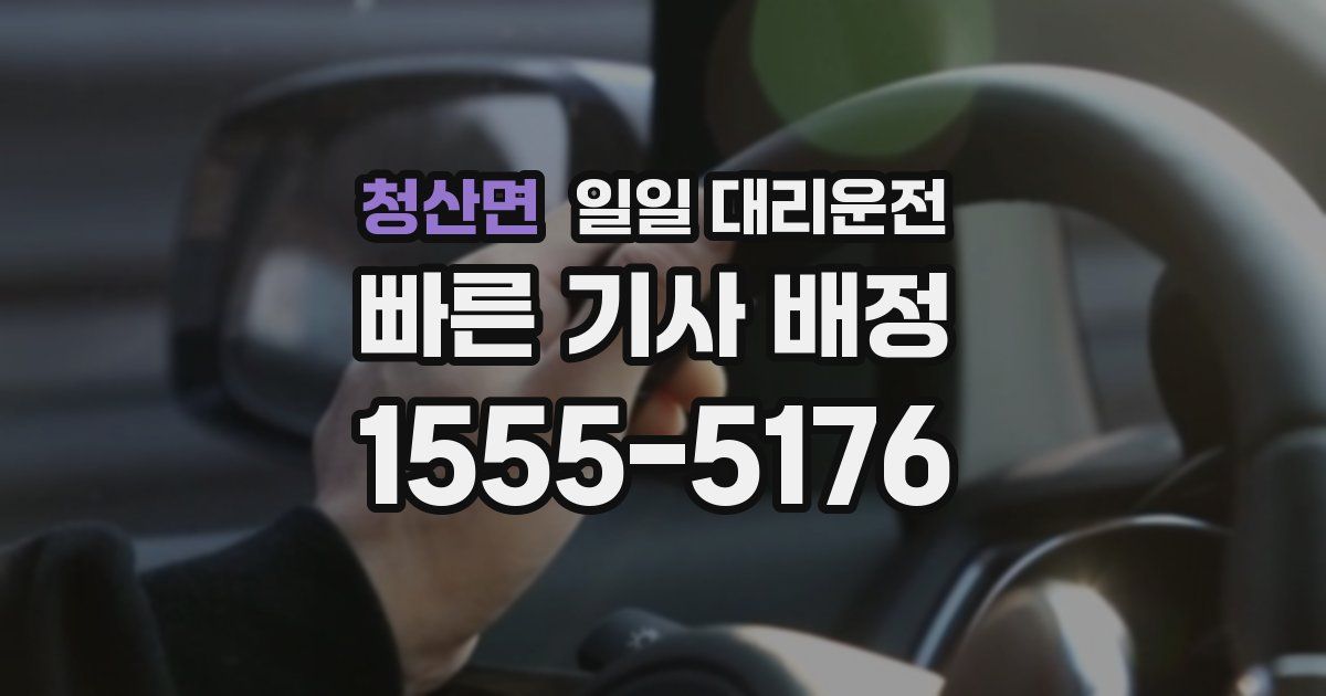 청산면 일일 대리운전
