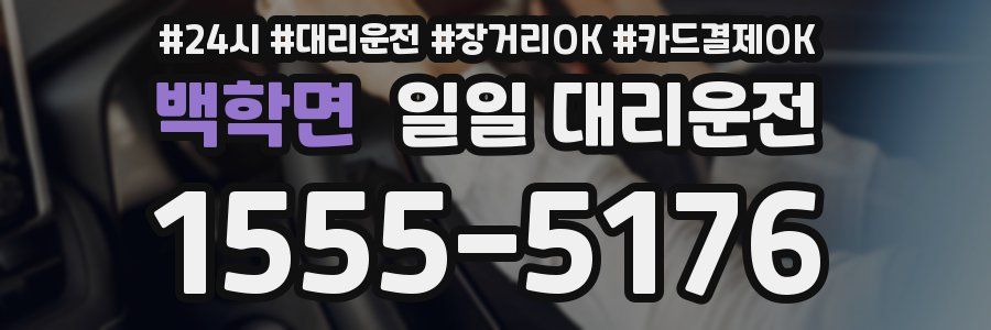 백학면 일일 대리운전