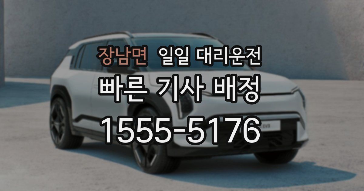 장남면 일일 대리운전