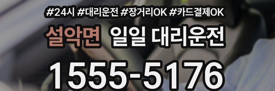 설악면 일일 대리운전