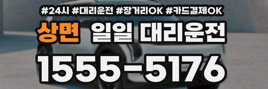 상면 일일 대리운전