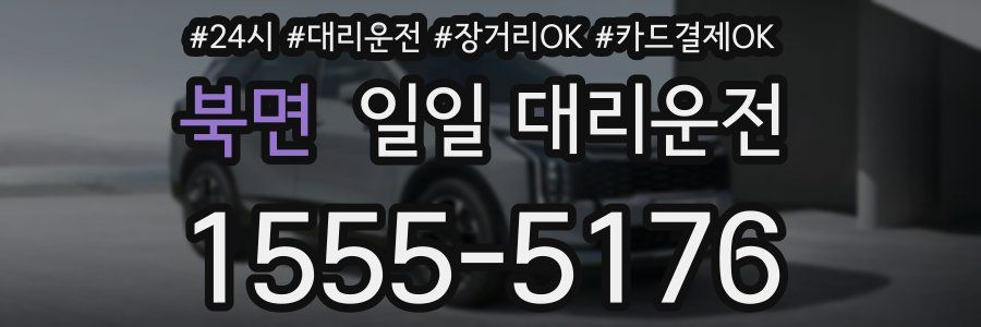 북면 일일 대리운전