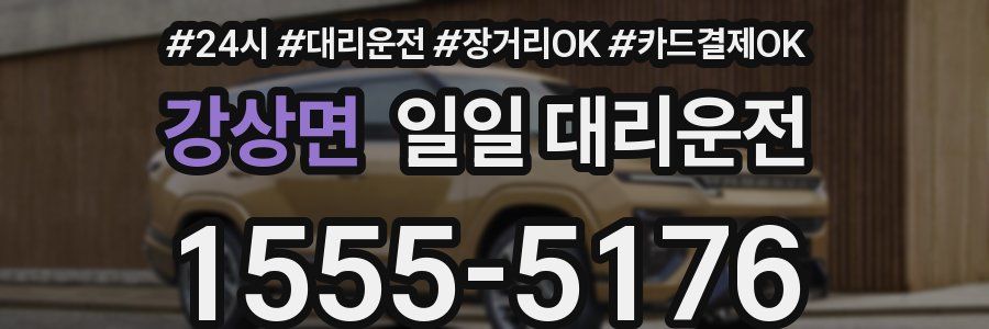 강상면 일일 대리운전