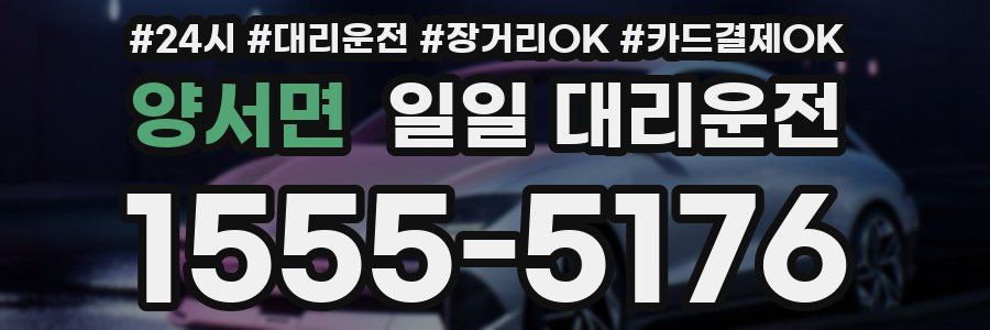 양서면 일일 대리운전