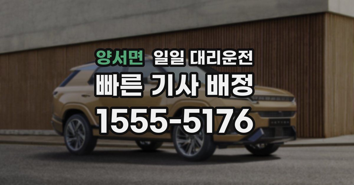 양서면 일일 대리운전