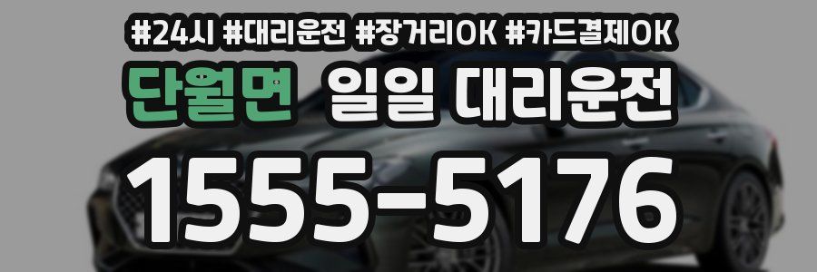 단월면 일일 대리운전