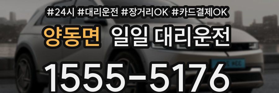 양동면 일일 대리운전