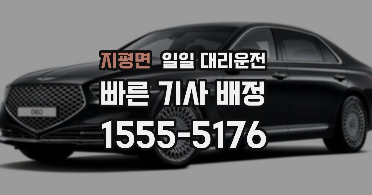 지평면 일일 대리운전