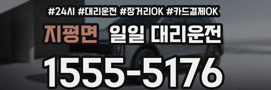 지평면 일일 대리운전