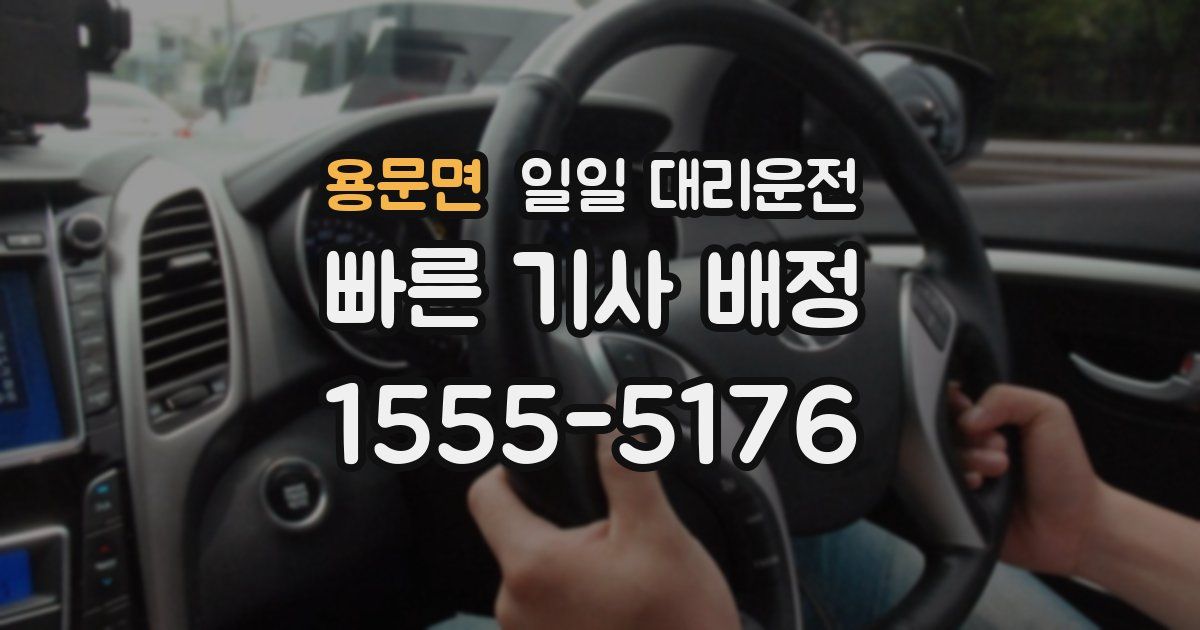 용문면 일일 대리운전