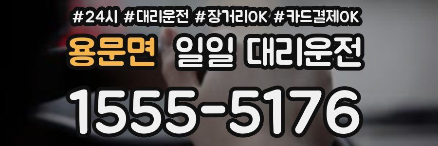 용문면 일일 대리운전