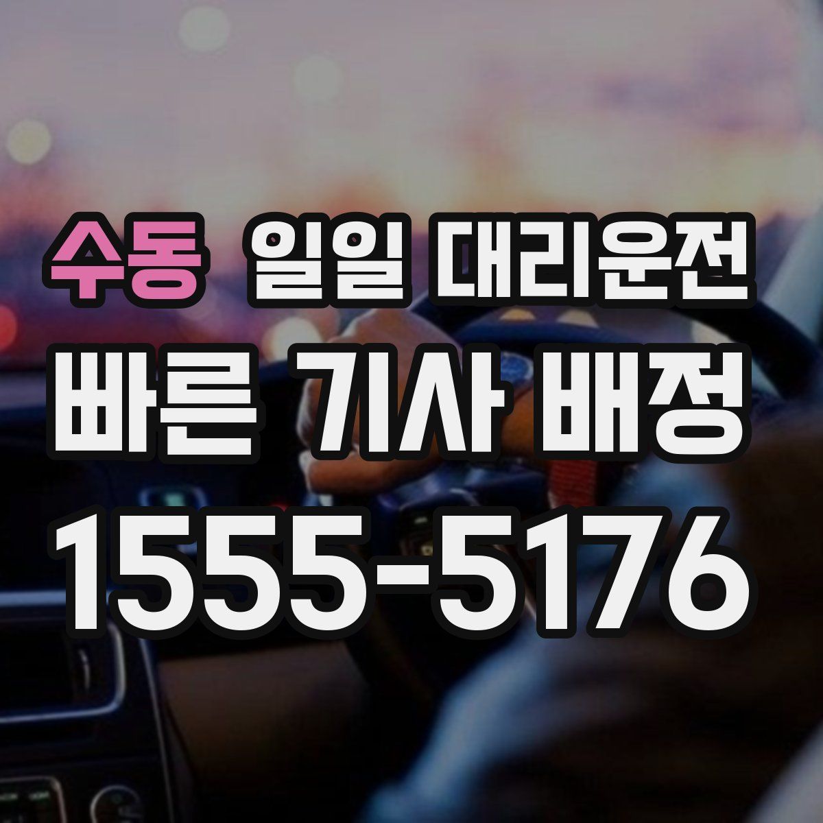 수동 일일 대리운전