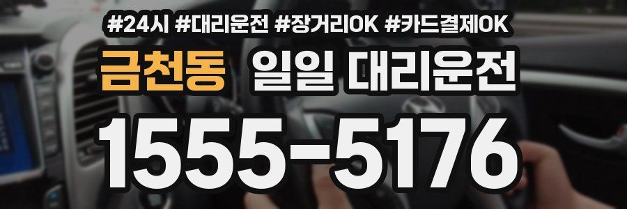 금천동 일일 대리운전