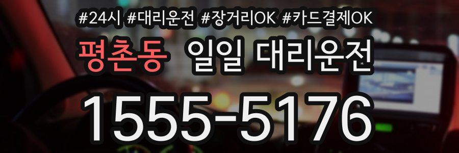 평촌동 일일 대리운전