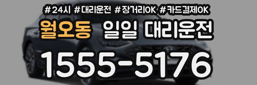 월오동 일일 대리운전