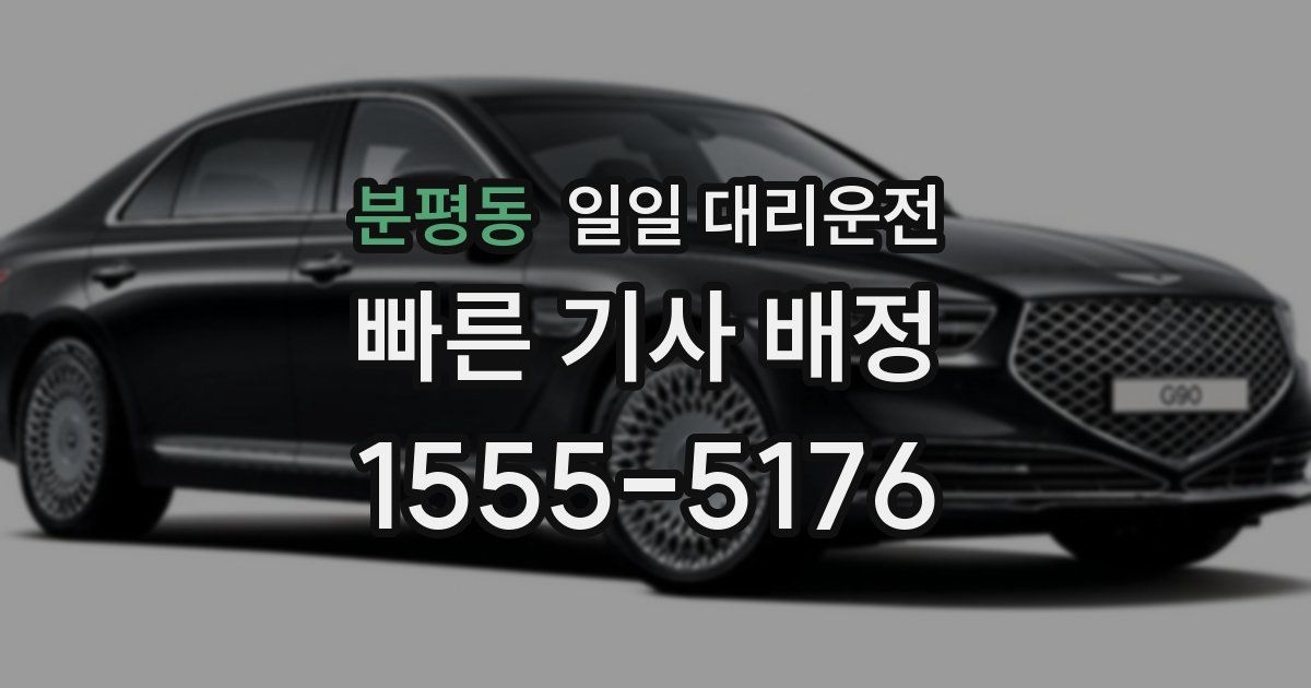 분평동 일일 대리운전