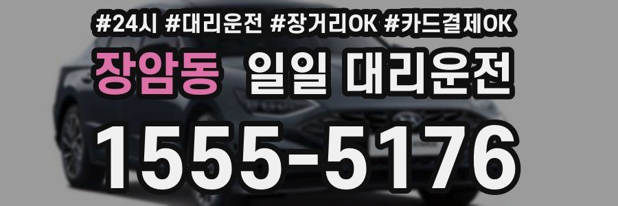 장암동 일일 대리운전