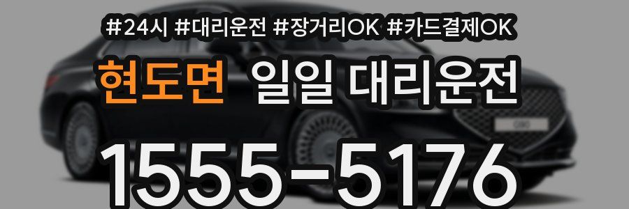 현도면 일일 대리운전