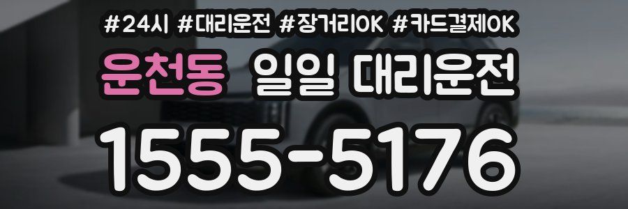 운천동 일일 대리운전