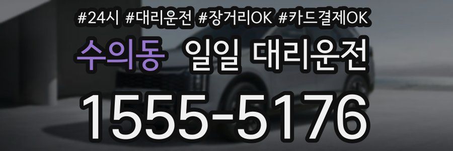 수의동 일일 대리운전