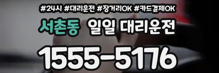 서촌동 일일 대리운전