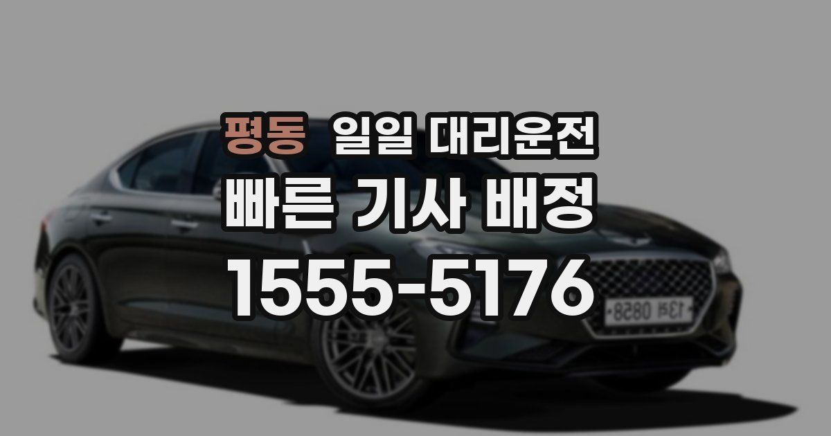 평동 일일 대리운전