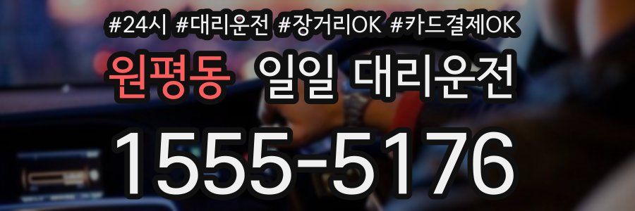 원평동 일일 대리운전