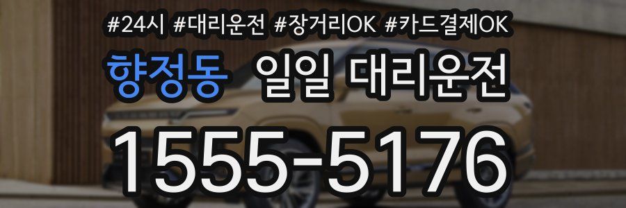 향정동 일일 대리운전