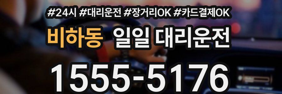 비하동 일일 대리운전