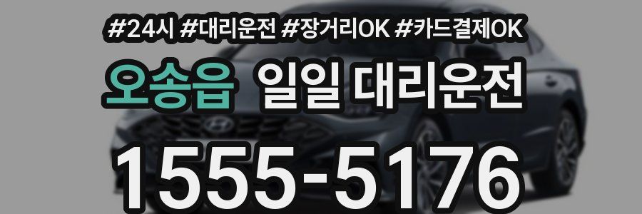 오송읍 일일 대리운전